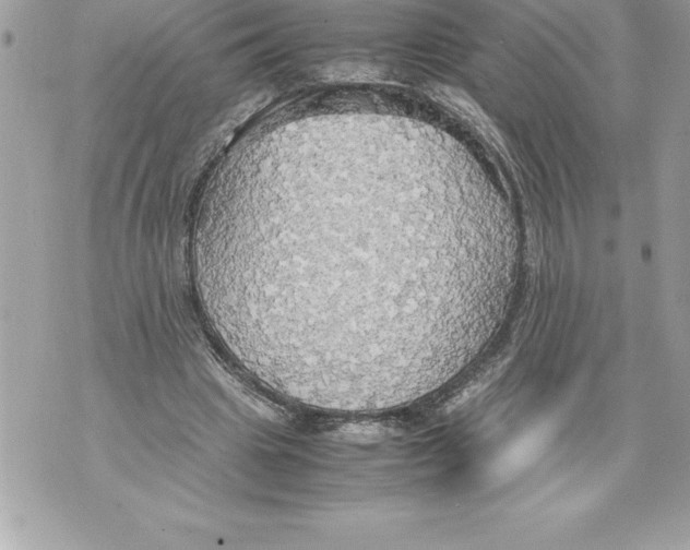 X0000070870441200607150125