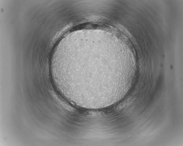 X0000070870442200607150125