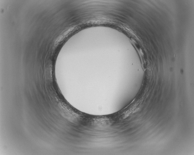 X0000070870446200607150125