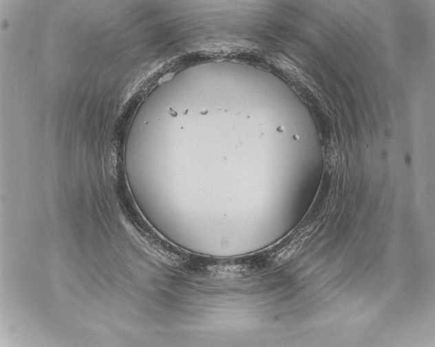 X0000070870448200607150125