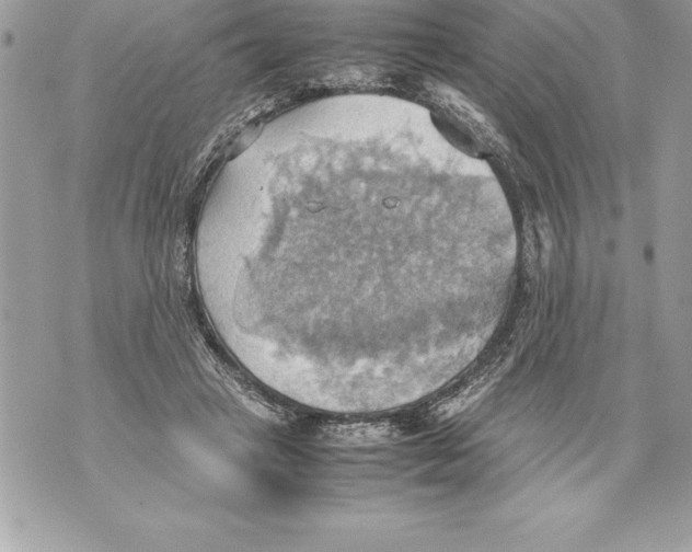 X0000070870449200607150125