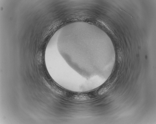 X0000070870451200607150125