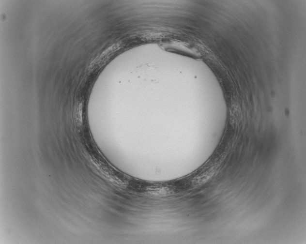 X0000070870454200607150125