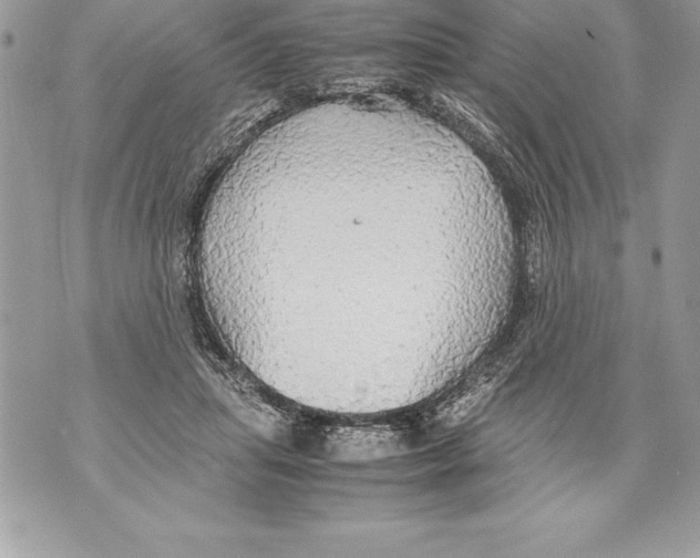 X0000070870455200607150125