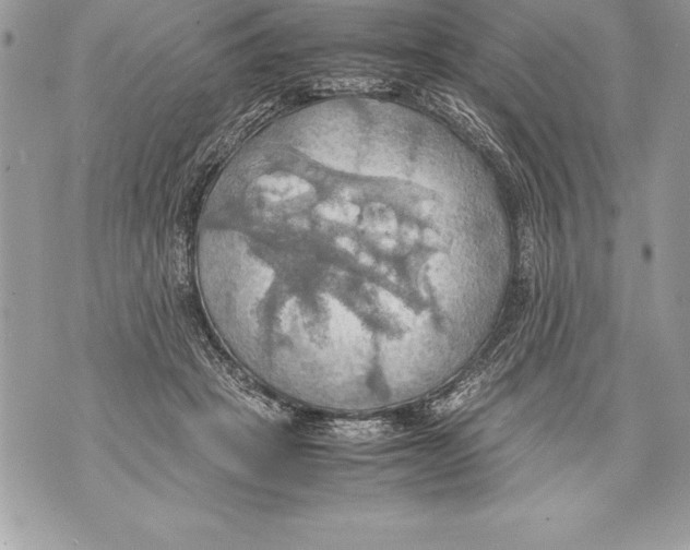 X0000070870457200607150125