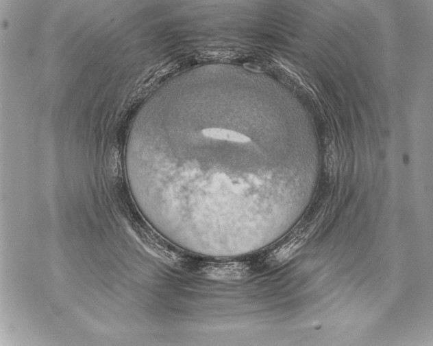 X0000070870459200607150125