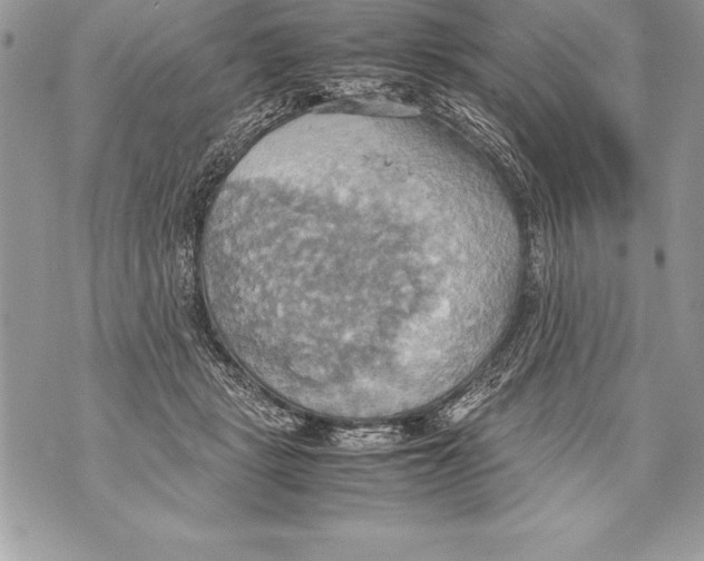 X0000070870461200607150125