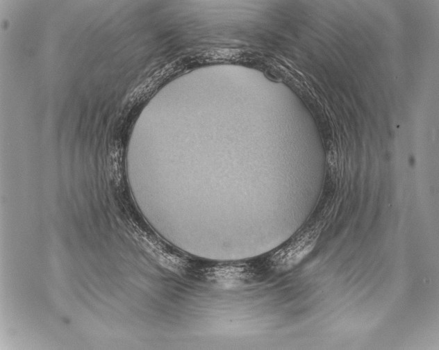 X0000070870462200607150126