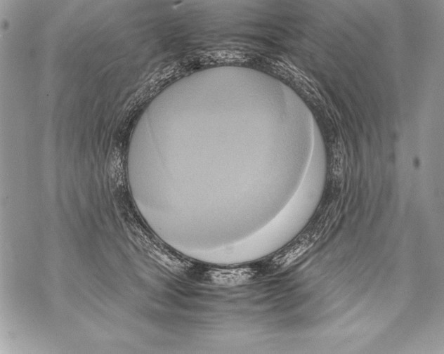 X0000070870465200607150126