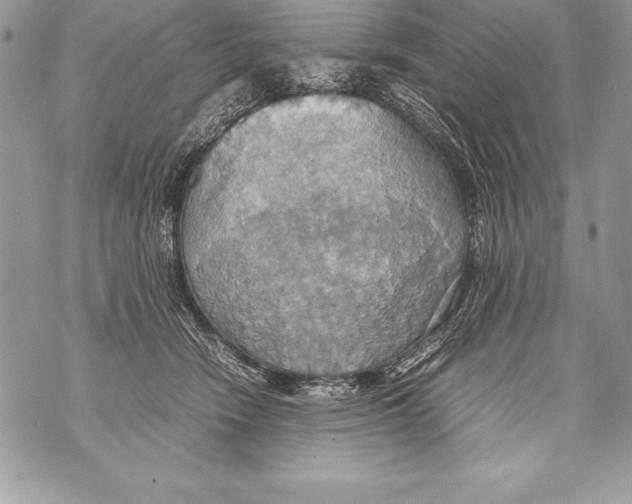 X0000070870466200607150126