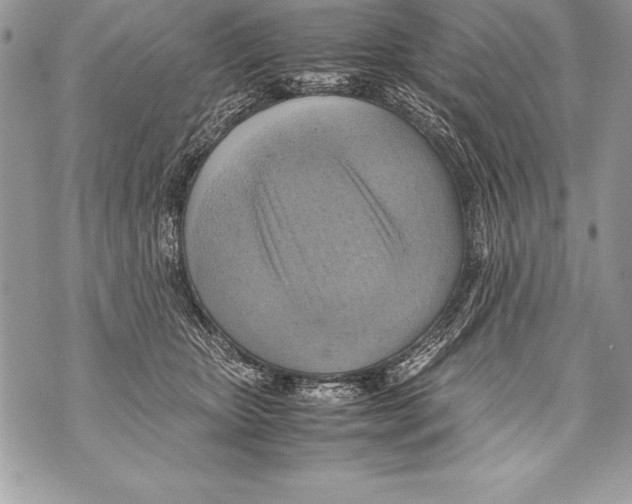 X0000070870467200607150126