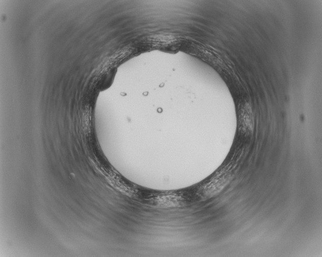 X0000070870468200607150126