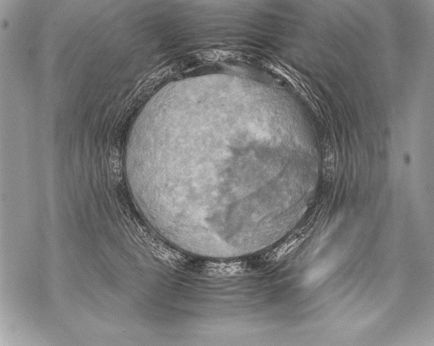 X0000070870469200607150126