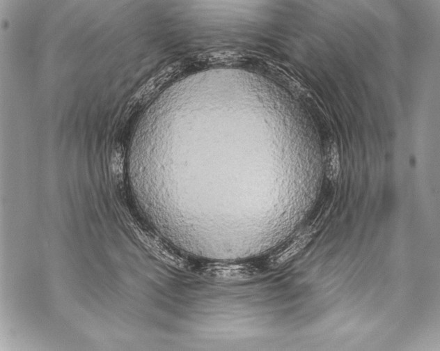 X0000070870472200607150126