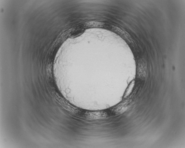 X0000070870473200607150126