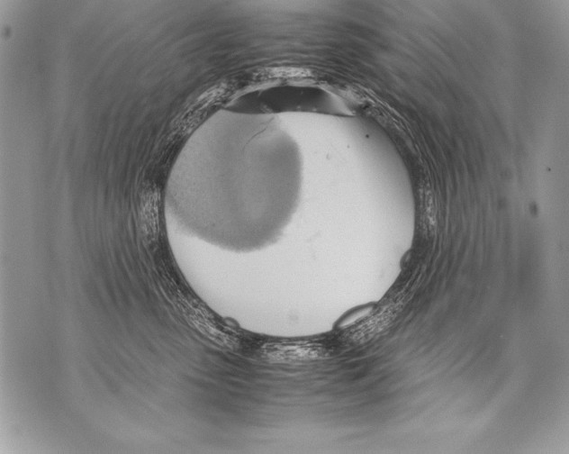 X0000070870475200607150126