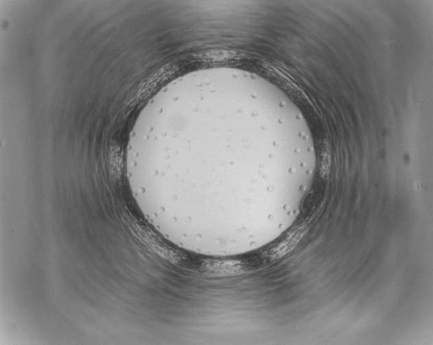 X0000070870476200607150126