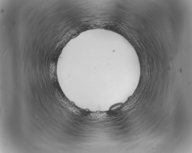 X0000070870480200607150126