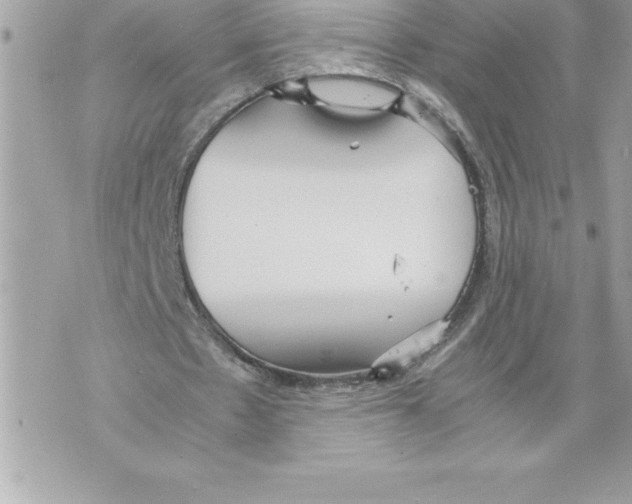 X0000070870481200607150125