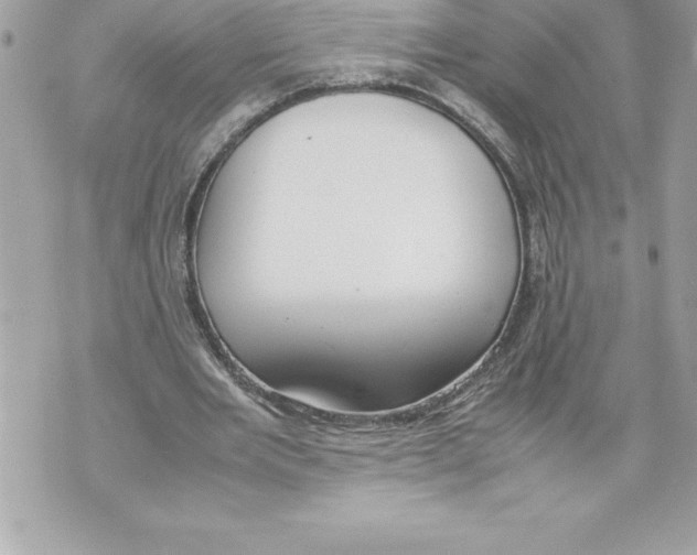 X0000070870485200607150125