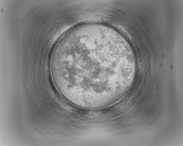 X0000070870487200607150125