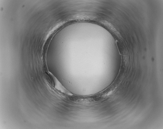 X0000070870488200607150125