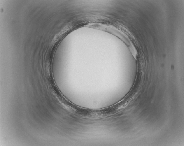 X0000070870489200607150125