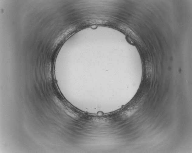 X0000070870490200607150125