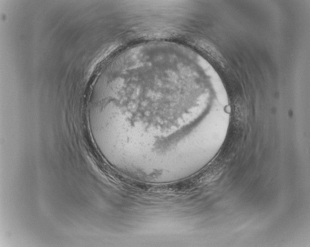 X0000070870491200607150125