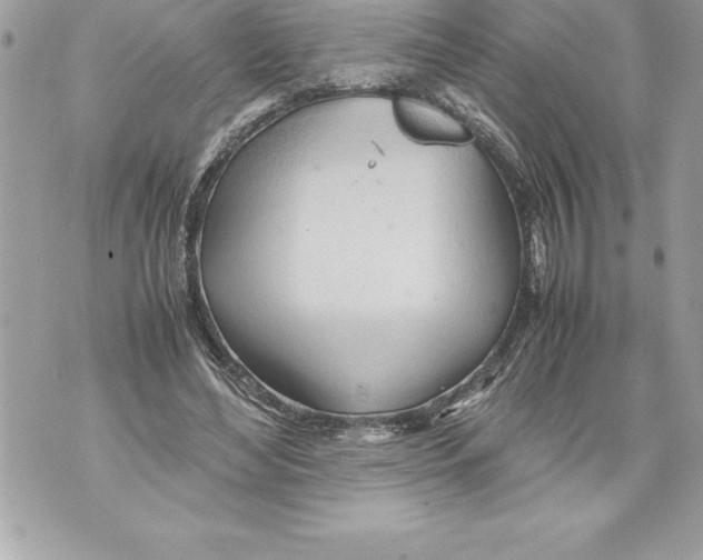 X0000070870492200607150125