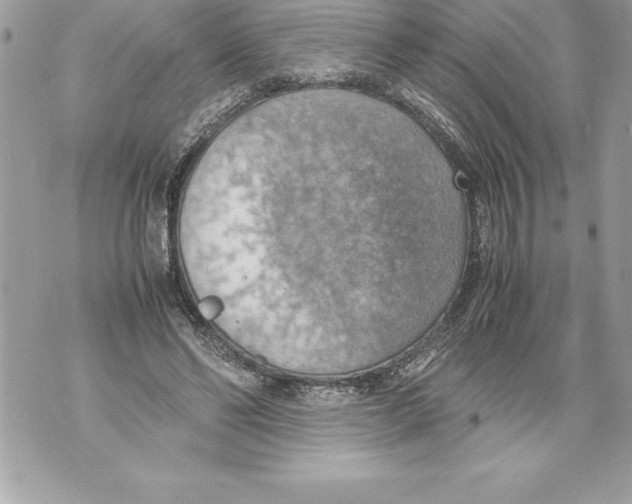 X0000070870494200607150125