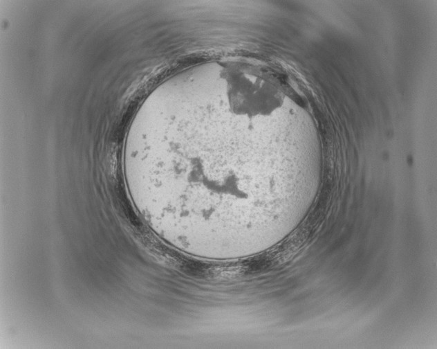 X0000070870495200607150125