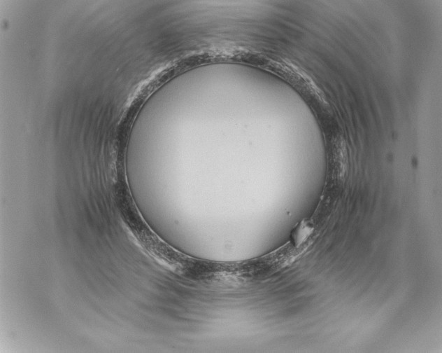 X0000070870496200607150125