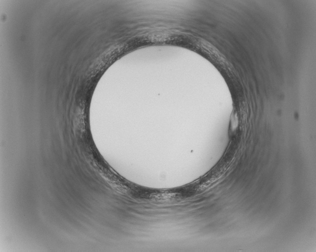 X0000070870497200607150125