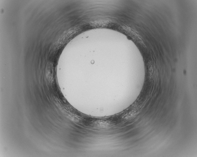 X0000070870498200607150125