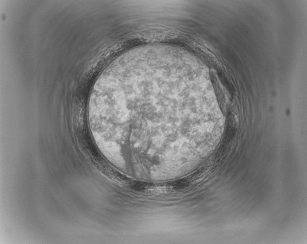 X0000070870499200607150125