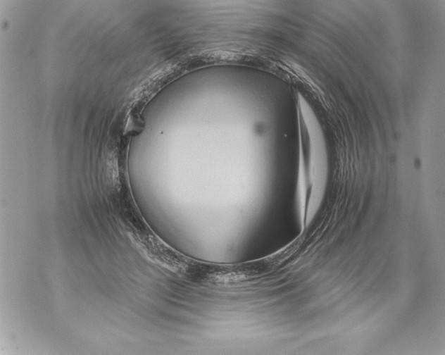 X0000070870500200607150125