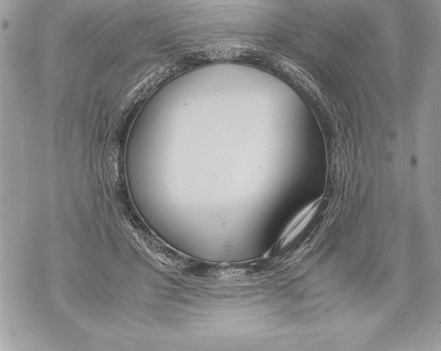 X0000070870501200607150125