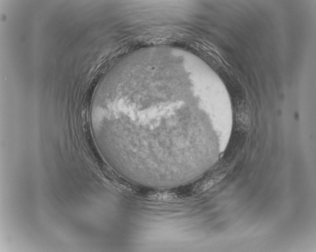 X0000070870503200607150125