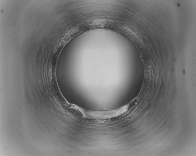 X0000070870504200607150125