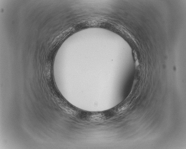 X0000070870505200607150125