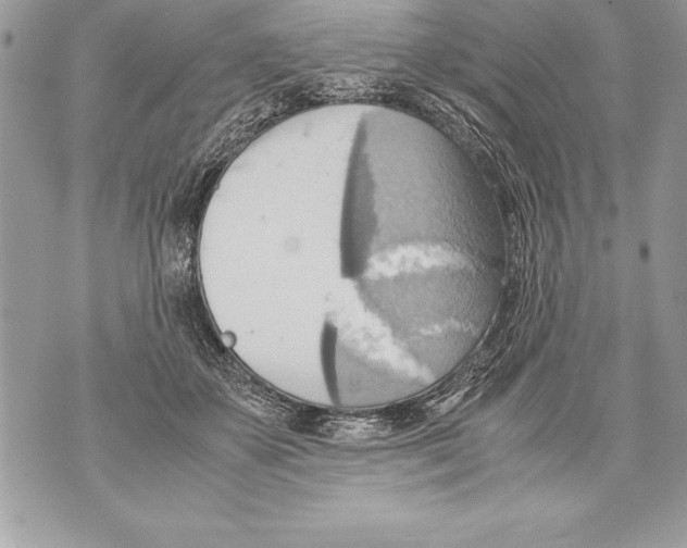 X0000070870507200607150125