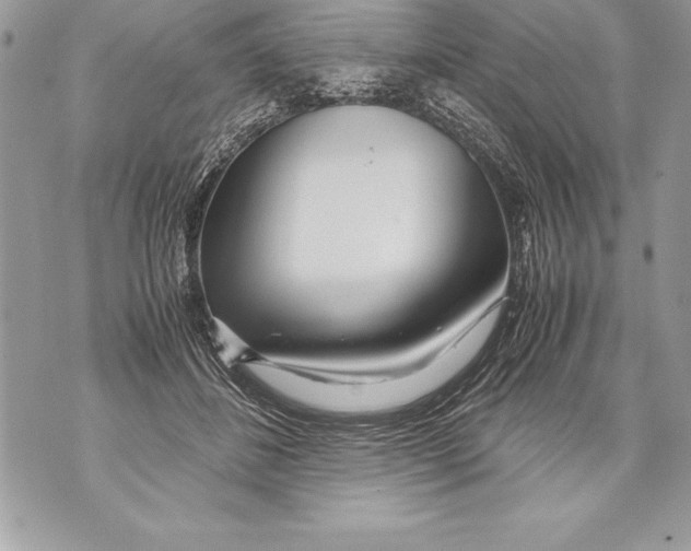 X0000070870508200607150124