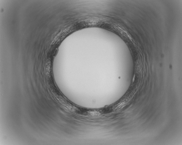 X0000070870509200607150124