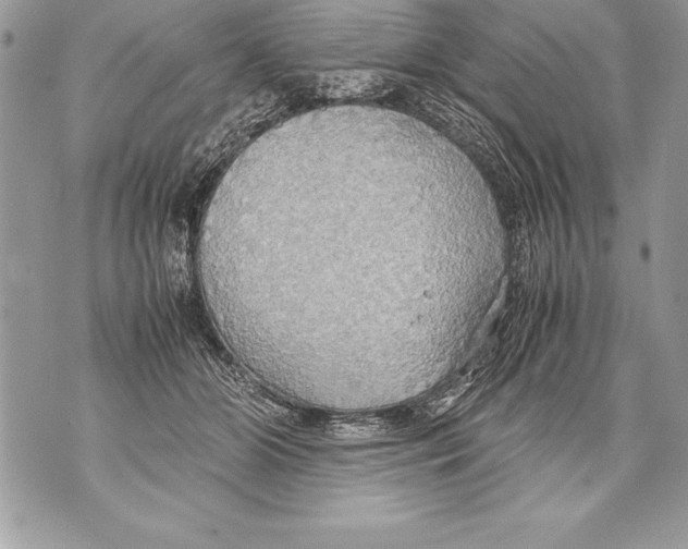 X0000070870510200607150124