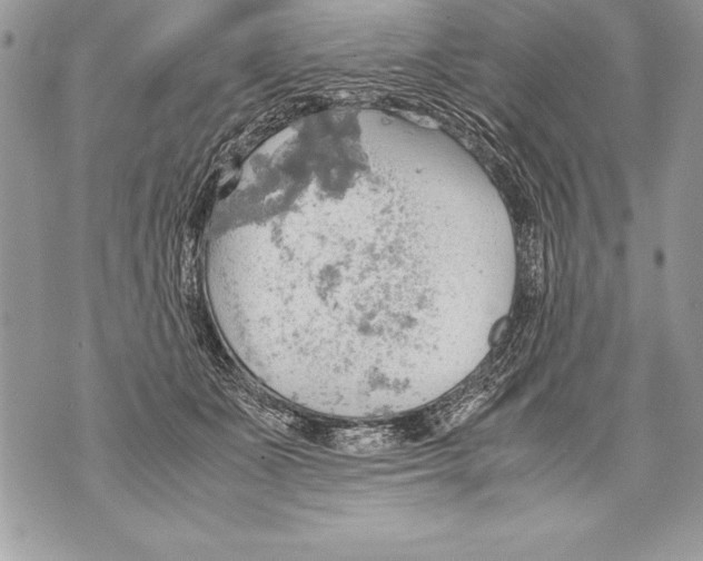 X0000070870511200607150124