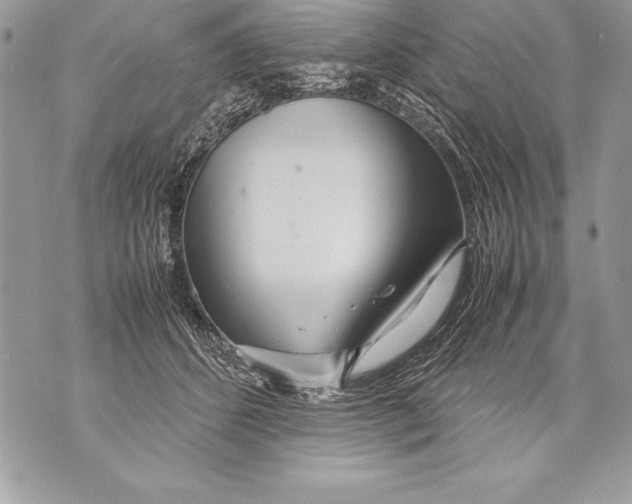 X0000070870512200607150124