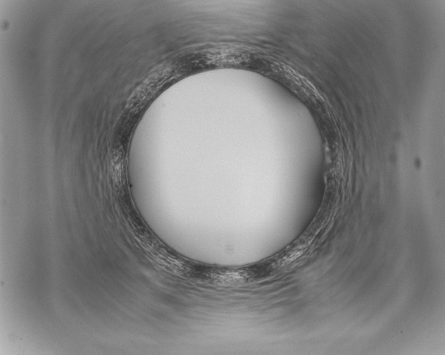 X0000070870513200607150124