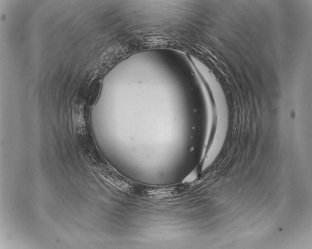 X0000070870516200607150124