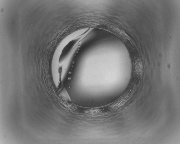 X0000070870517200607150124